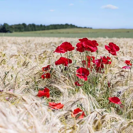 8506-grenaa-agnetevej-16 *